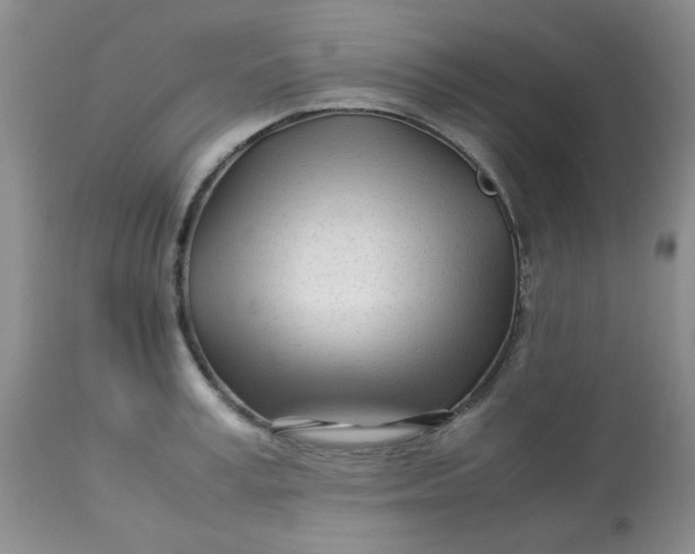 X0000113560995200910091410