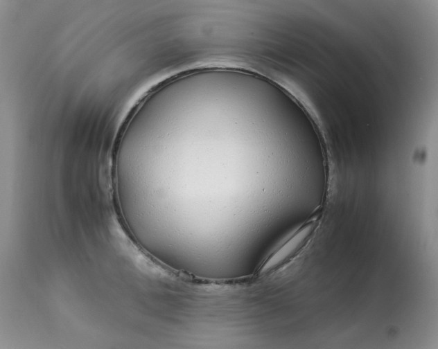 X0000113560996200910091410