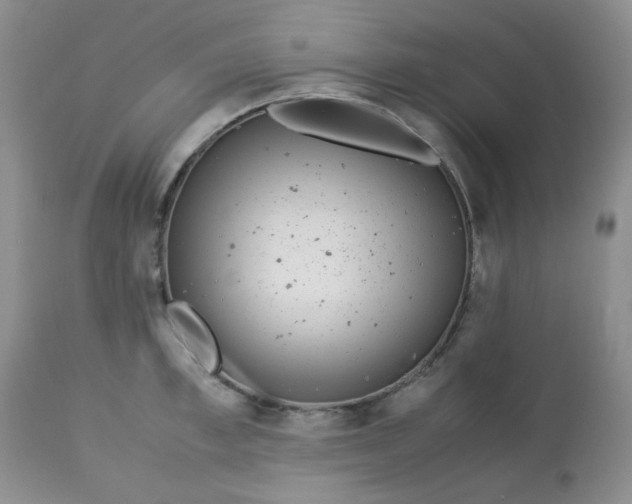 X0000113560997200910091410