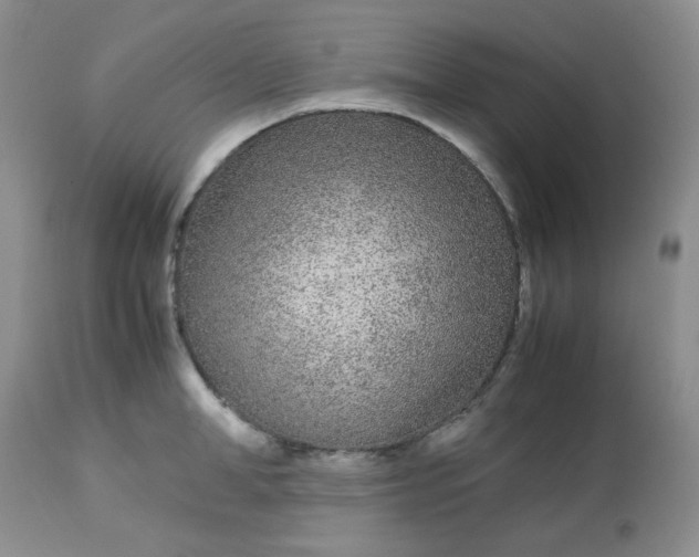 X0000113560998200910091410