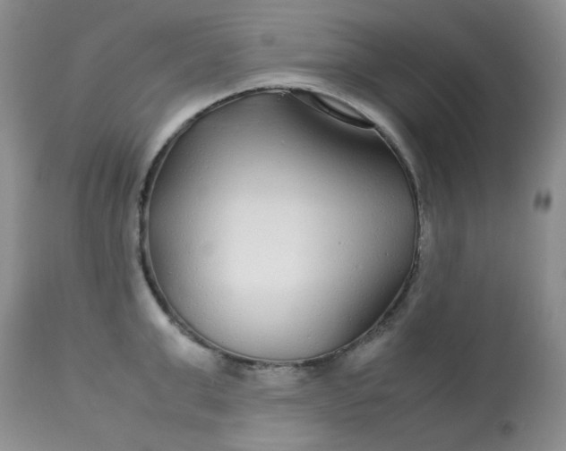 X0000113560999200910091410