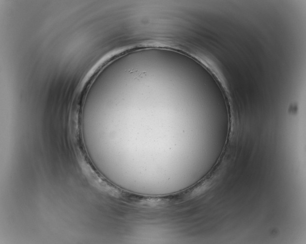 X0000113561000200910091410