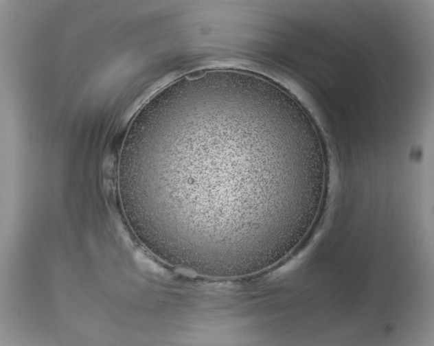 X0000113561001200910091410