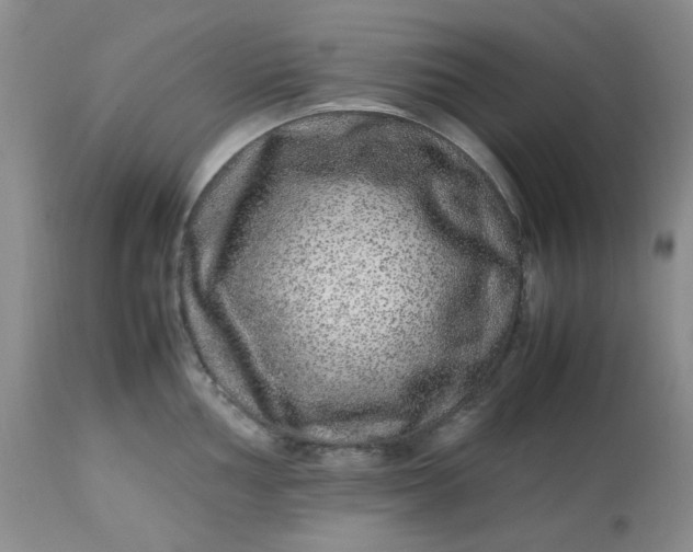 X0000113561002200910091410