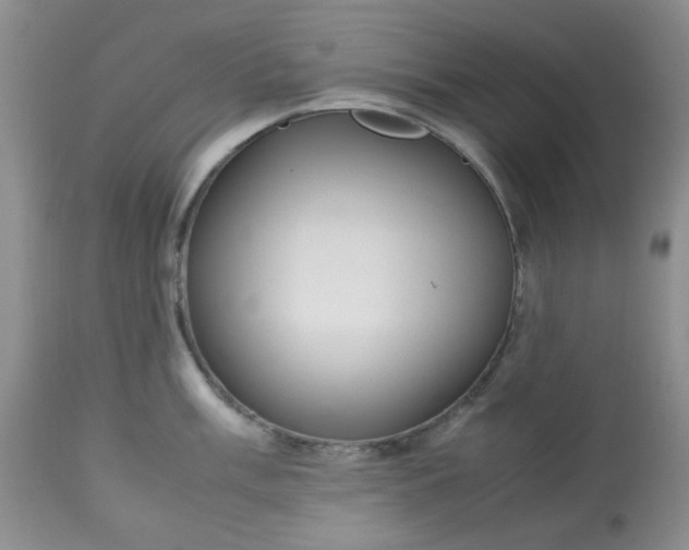 X0000113561003200910091410