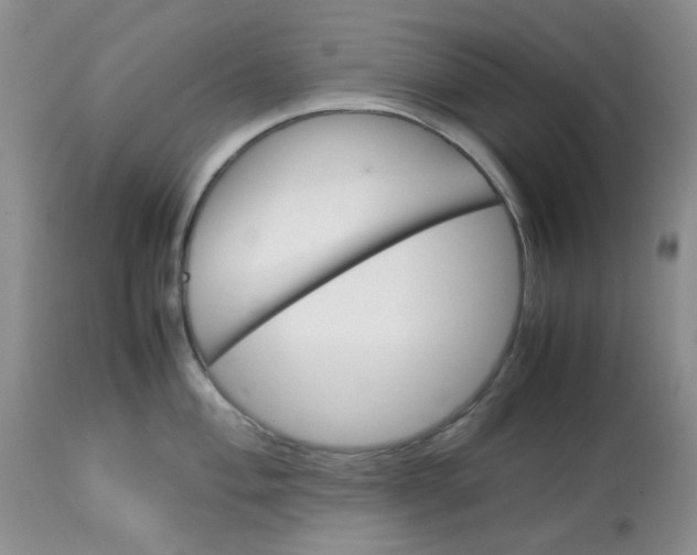 X0000113561004200910091410