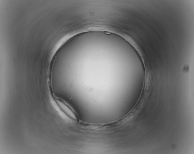 X0000113561005200910091410