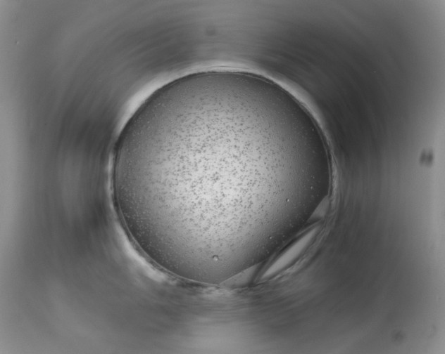 X0000113561006200910091410