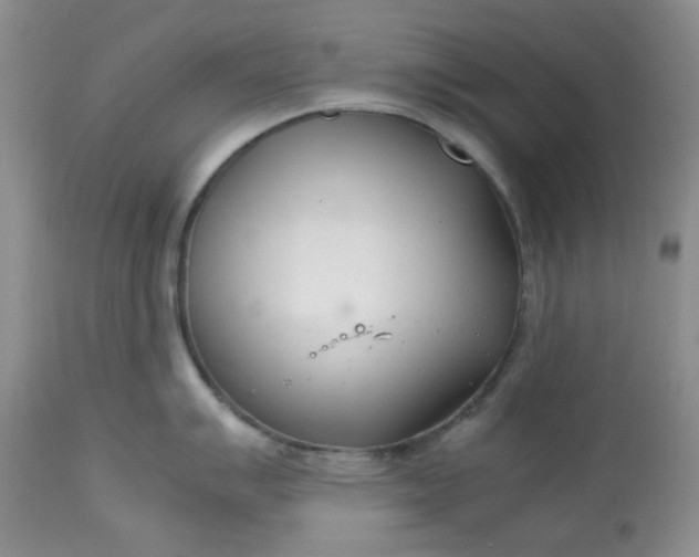 X0000113561007200910091410