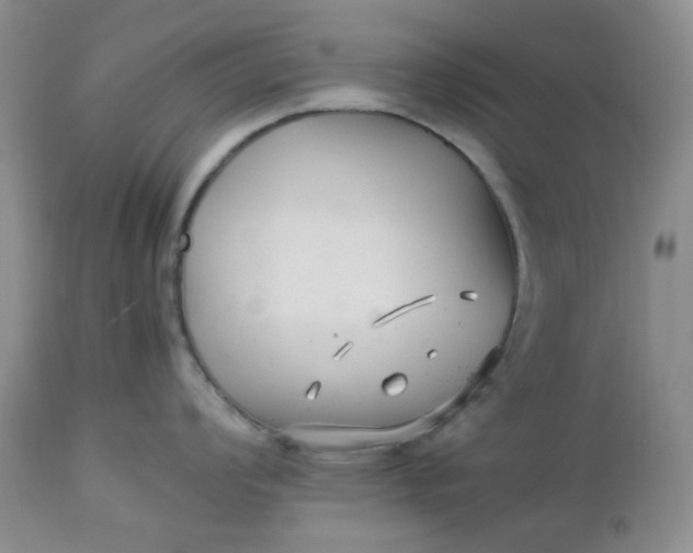 X0000113561008200910091410