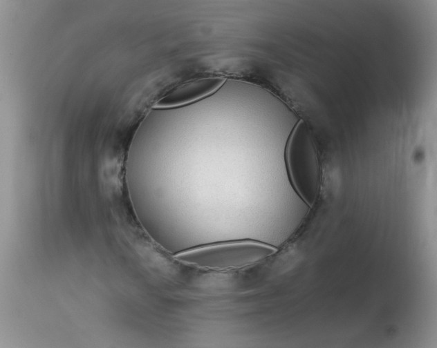 X0000113561010200910091410