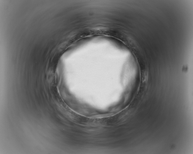 X0000113561011200910091410