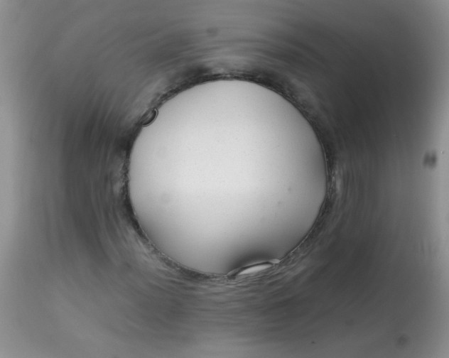 X0000113561012200910091410