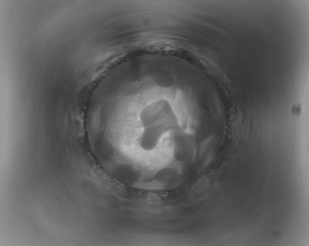 X0000113561013200910091410