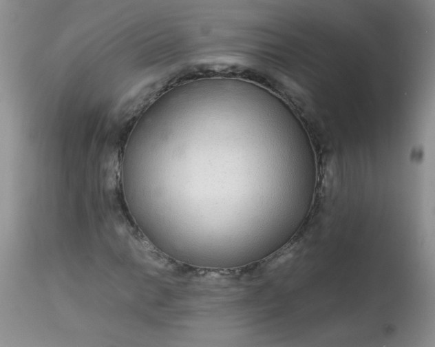 X0000113561014200910091410