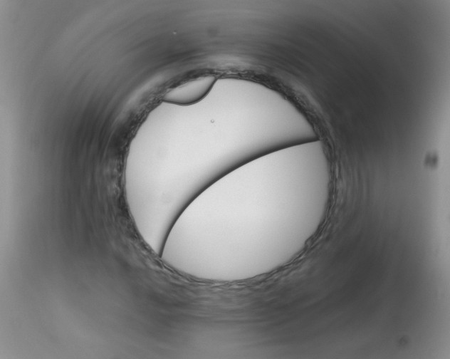 X0000113561016200910091410