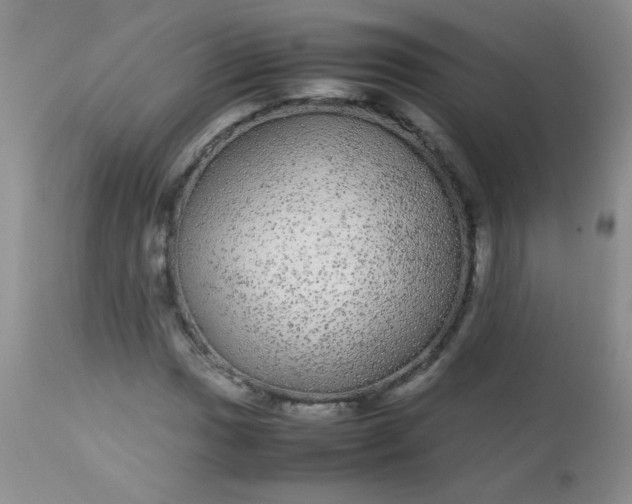 X0000113561017200910091410