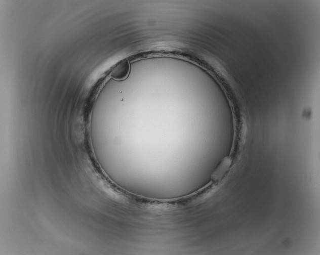 X0000113561018200910091410