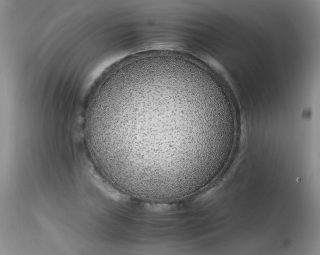 X0000113561019200910091410