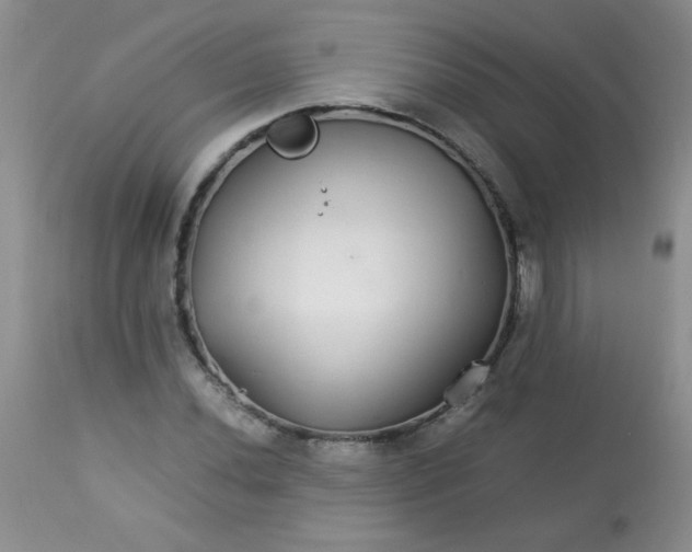 X0000113561020200910091410