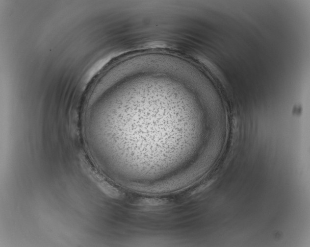 X0000113561023200910091410