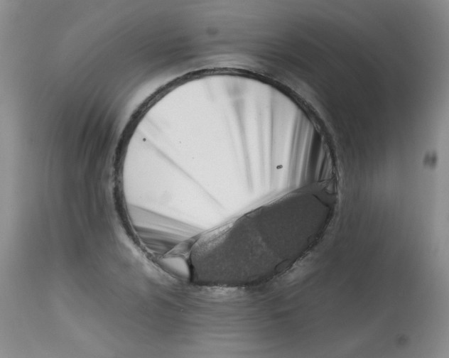 X0000113561024200910091410