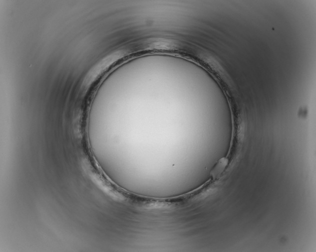 X0000113561026200910091410