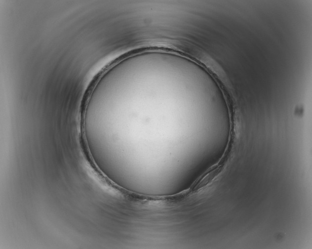 X0000113561028200910091410