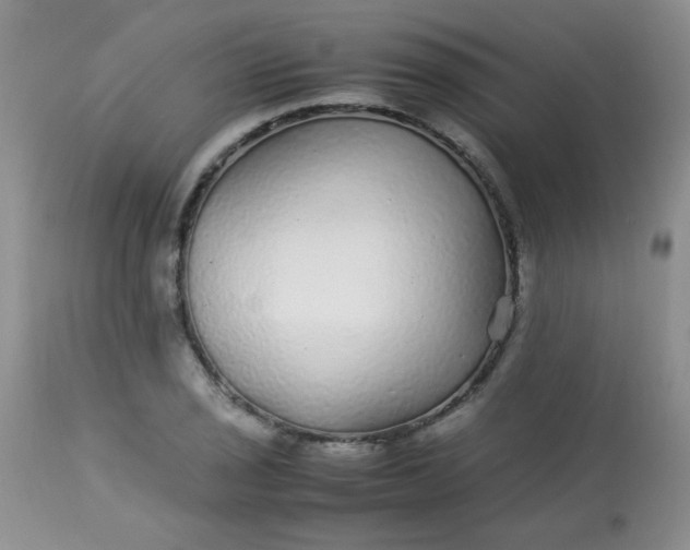 X0000113561029200910091410