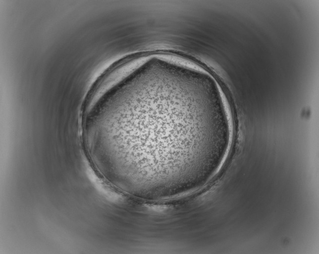 X0000113561031200910091410