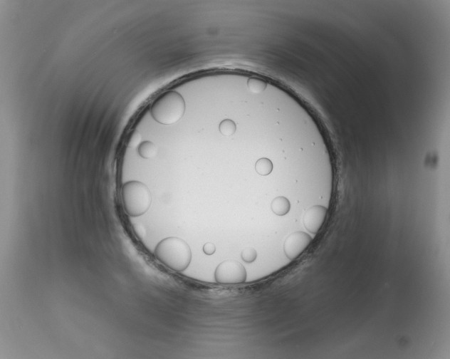 X0000113561032200910091410