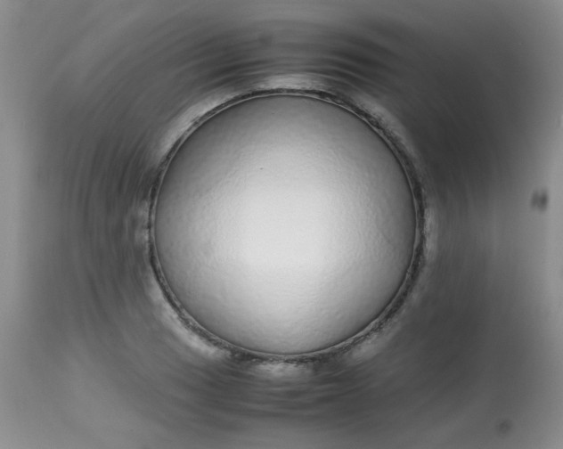 X0000113561033200910091410