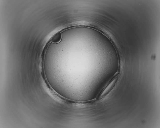 X0000113561034200910091410