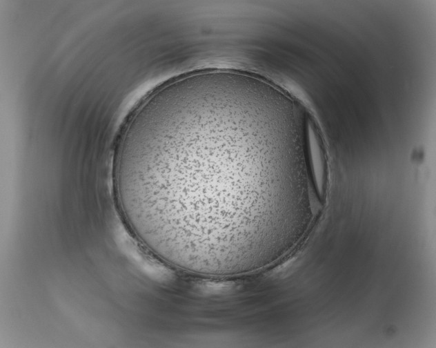 X0000113561035200910091410