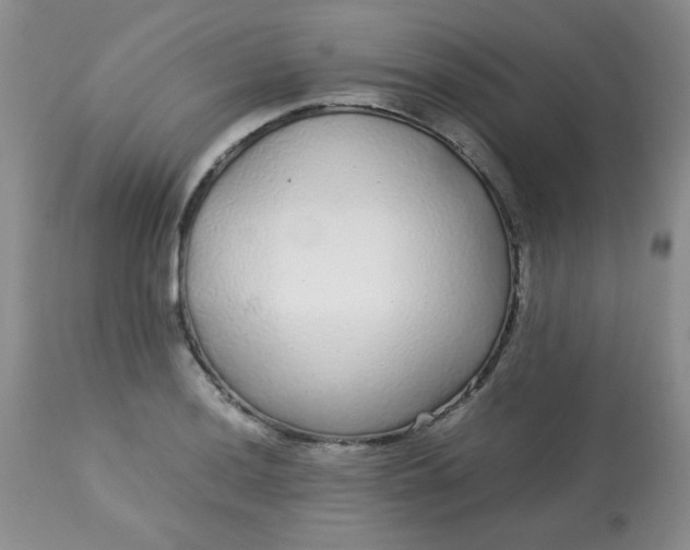 X0000113561036200910091410