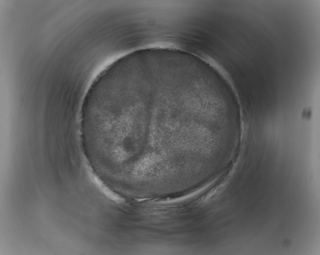 X0000113561037200910091410