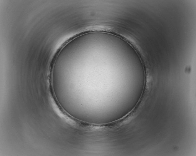 X0000113561038200910091410