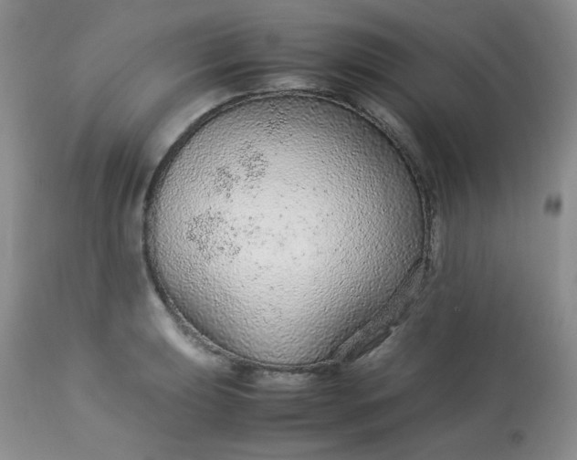 X0000113561039200910091410