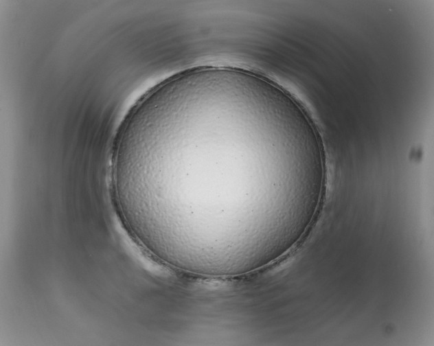 X0000113561040200910091410