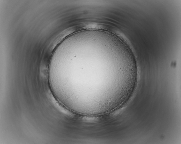 X0000113561041200910091410