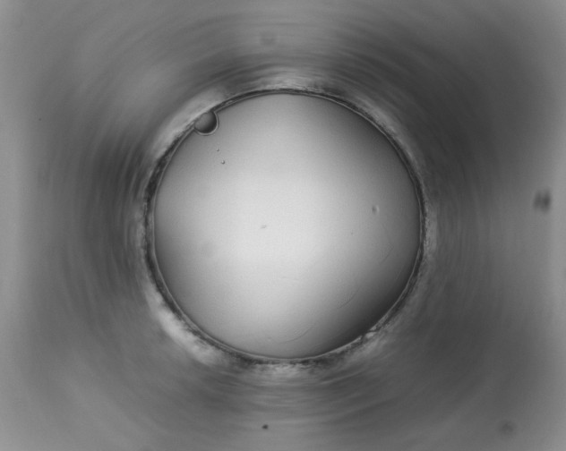 X0000113561042200910091410