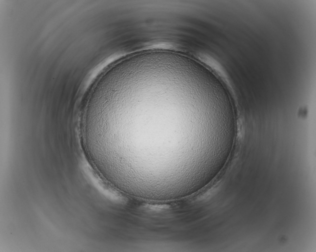 X0000113561043200910091410