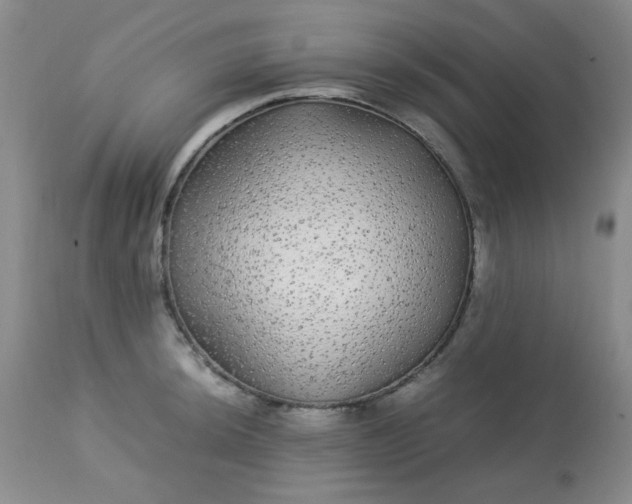 X0000113561044200910091410