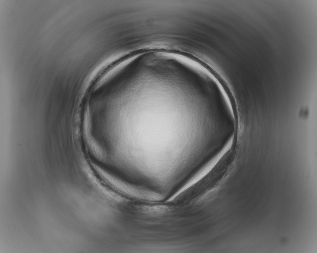 X0000113561045200910091410