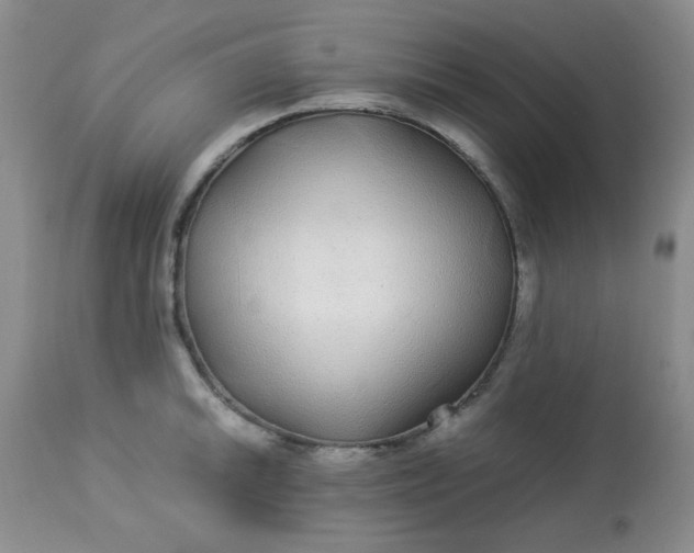 X0000113561046200910091410