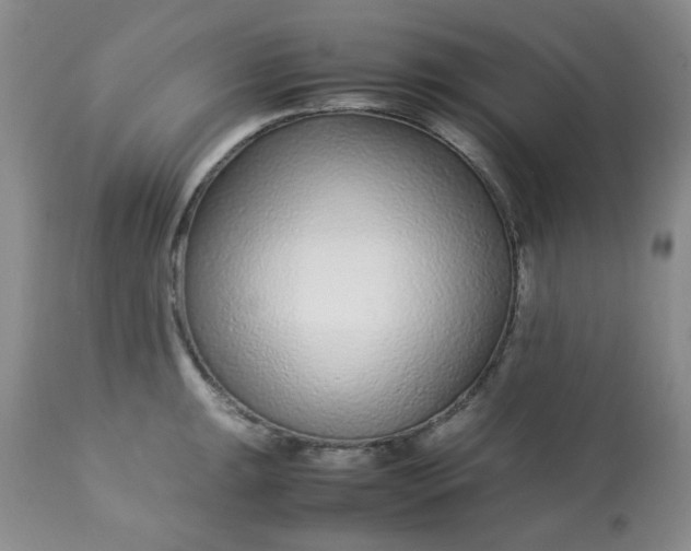 X0000113561047200910091410