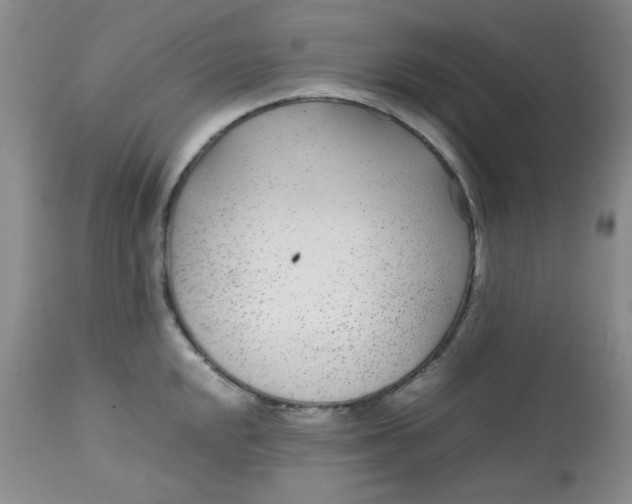 X0000113561048200910091410