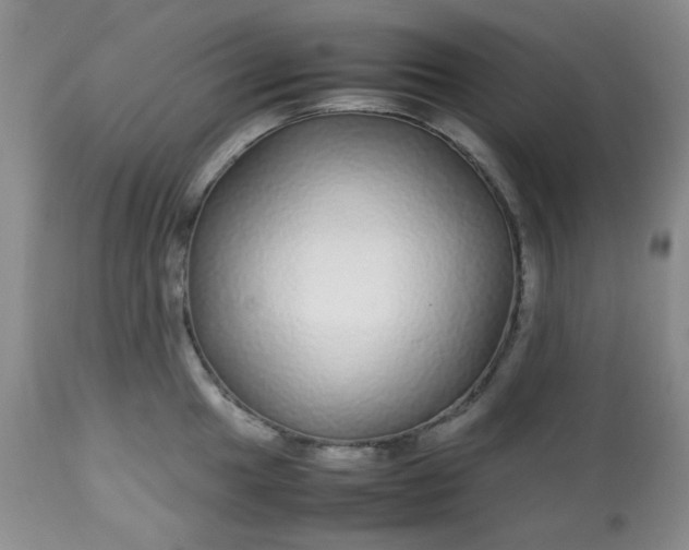 X0000113561049200910091410