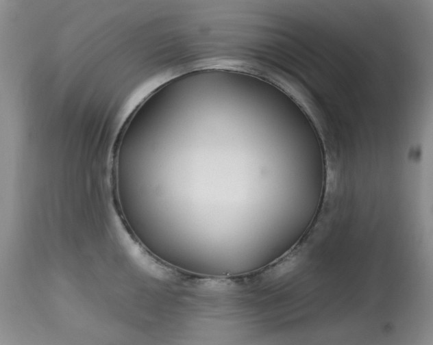 X0000113561050200910091410