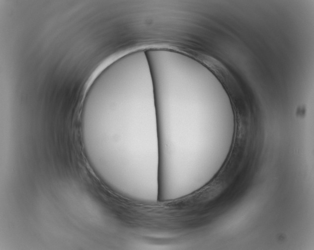 X0000113561052200910091410